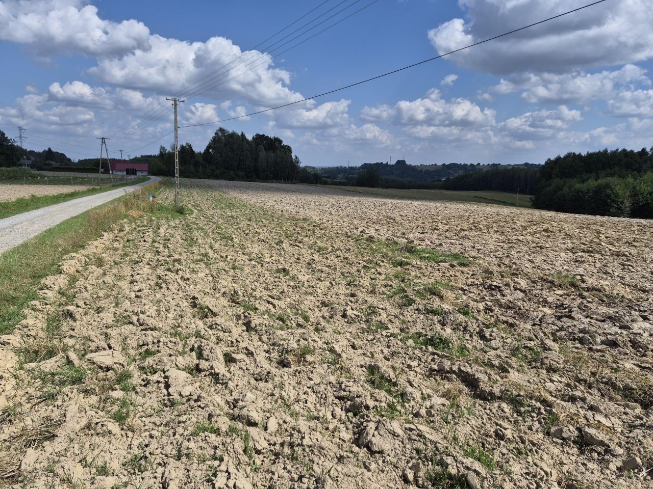 Działka rolno-budowlana Szynwałd. Zdjęcie 20
