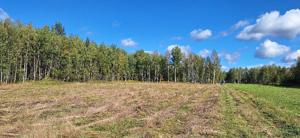 Działka rolna Dłużka. Zdjęcie 3