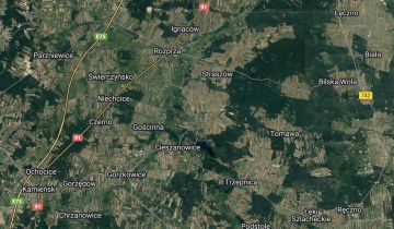 Działka leśna Mierzyn