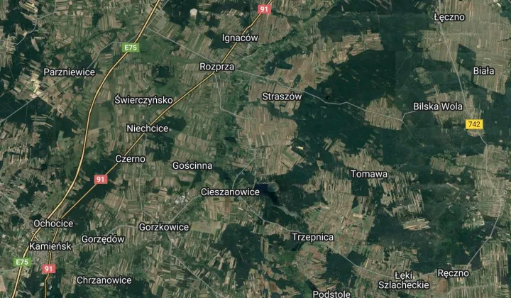 Działka leśna Mierzyn