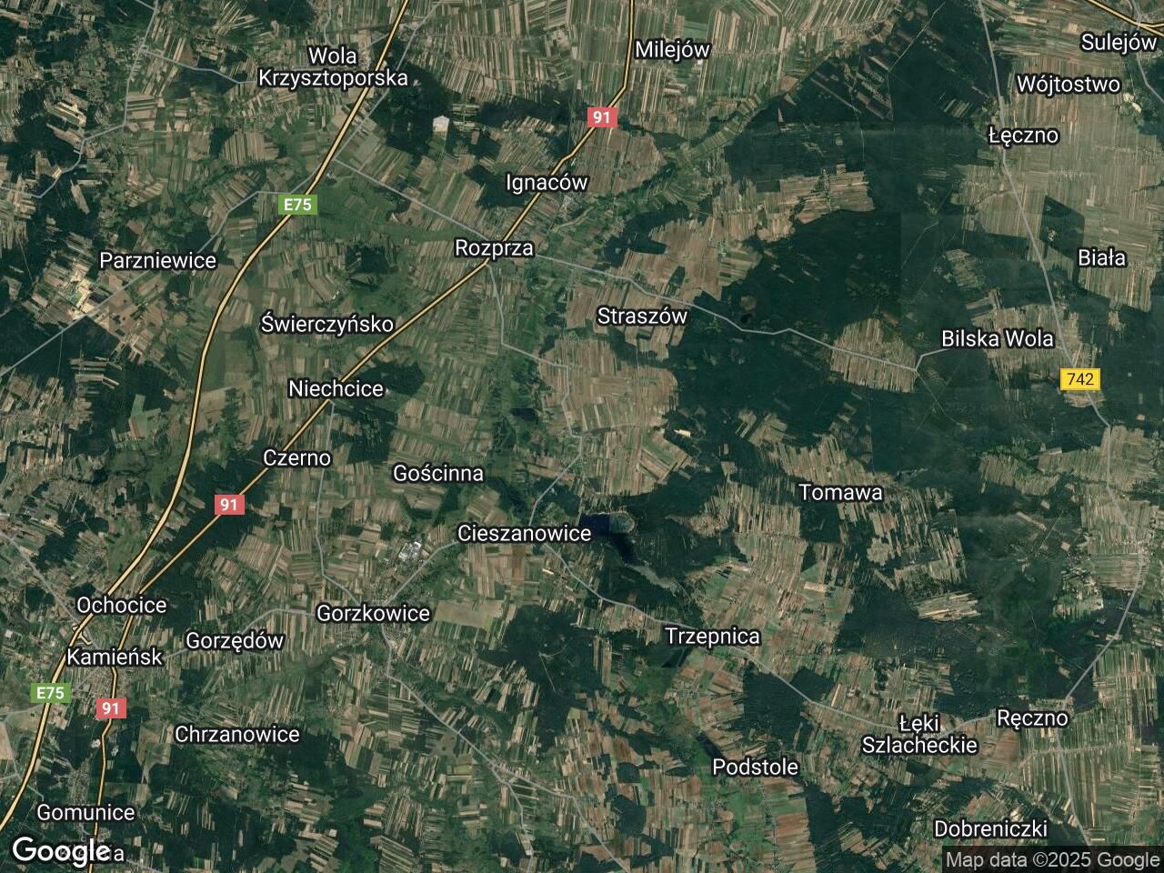 Działka leśna Mierzyn