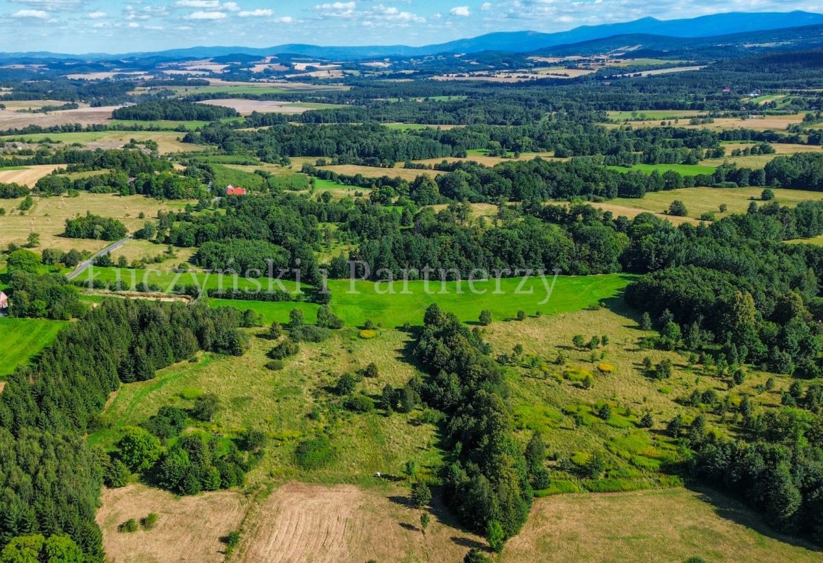 Działka siedliskowa Kłopotnica. Zdjęcie 4