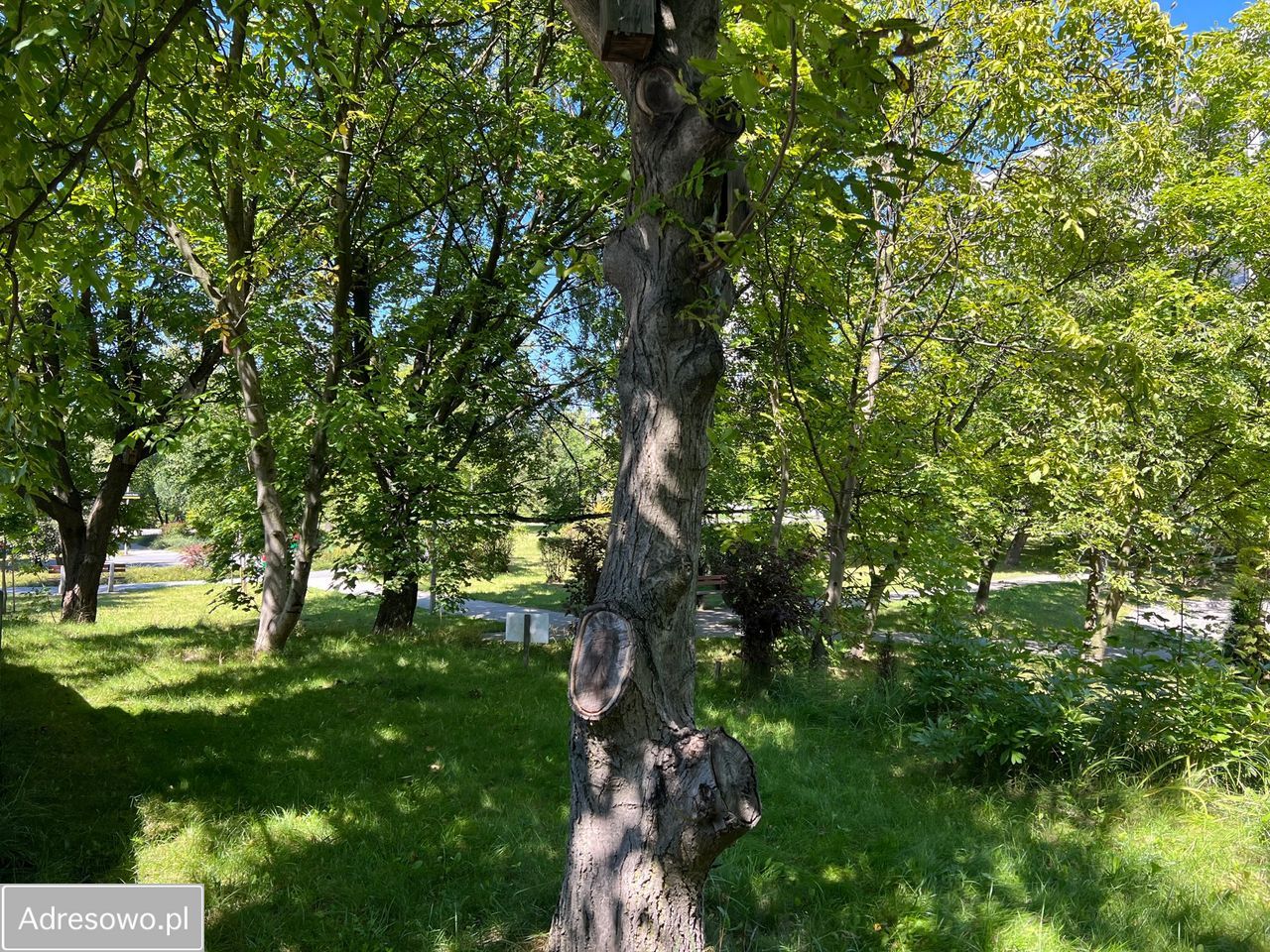 Działka inwestycyjna Katowice os. Tysiąclecia, ul. Mieszka I. Zdjęcie 8