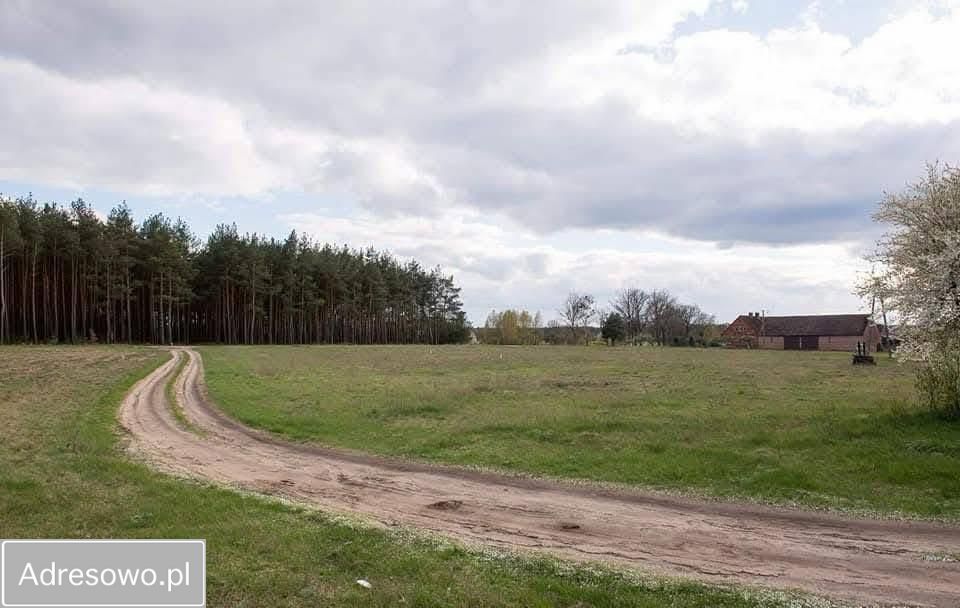 Działka budowlana Krzyż Wielkopolski. Zdjęcie 4