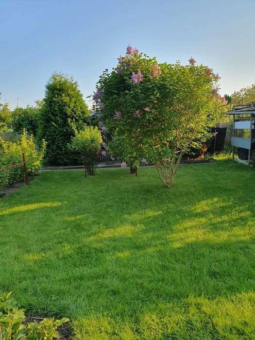 Działka rod Braniewo. Zdjęcie 5