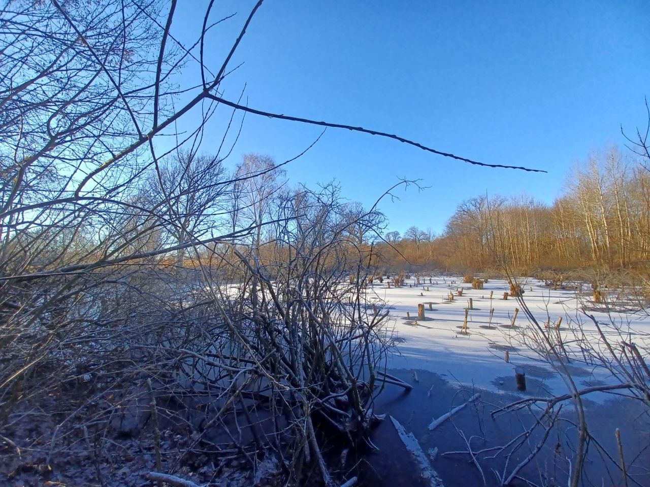 Działka rolna Krągłe. Zdjęcie 12