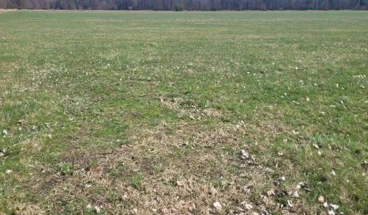 Działka rolna Opole Malina