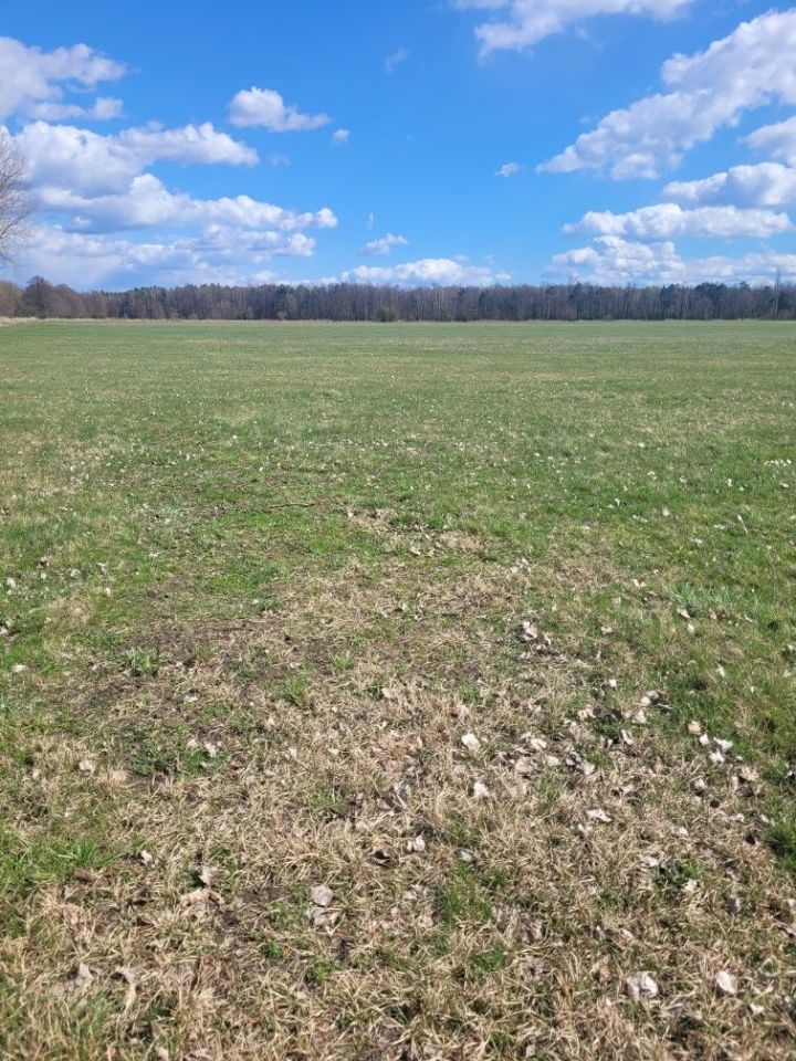 Działka rolna Opole Malina. Zdjęcie 1