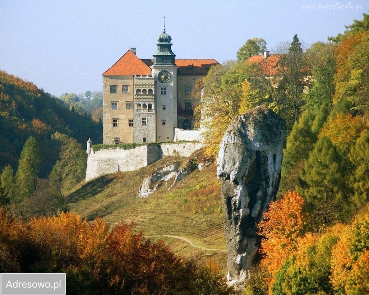 dom wolnostojący, 9 pokoi Sułoszowa, ul. Skalna. Zdjęcie 18