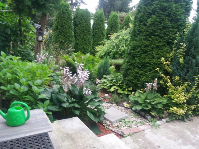 Działka rod Toruń Rudak, ul. Rudacka. Zdjęcie 1