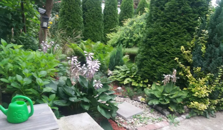 Działka rod Toruń Rudak, ul. Rudacka