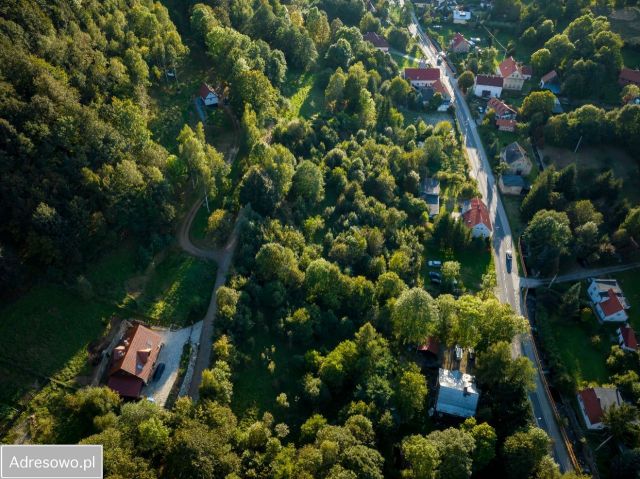 Działka budowlana Pieszyce Rościszów. Zdjęcie 1