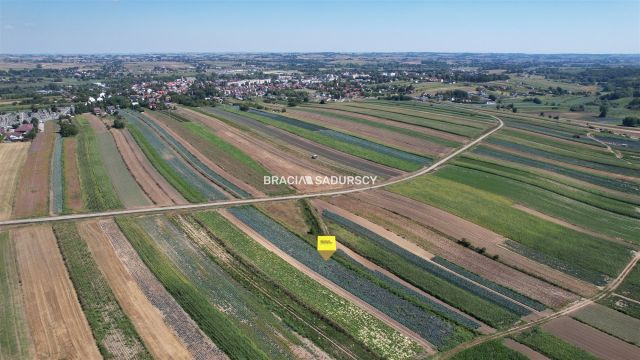 Działka rolna Proszowice, ul. Krakowska. Zdjęcie 17