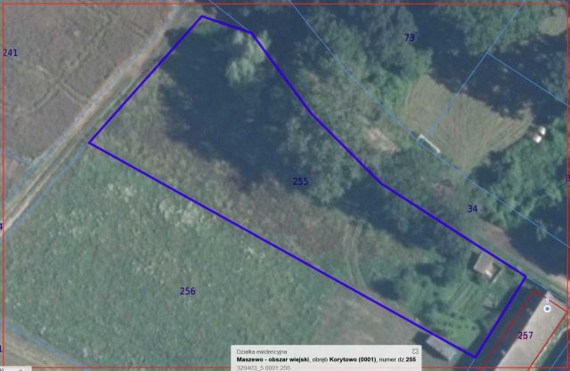 Działka budowlana Korytowo. Zdjęcie 1