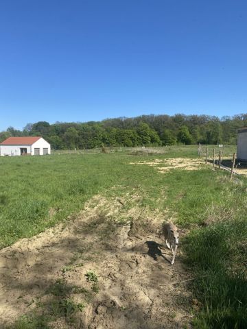 Działka budowlana Trzebania. Zdjęcie 3