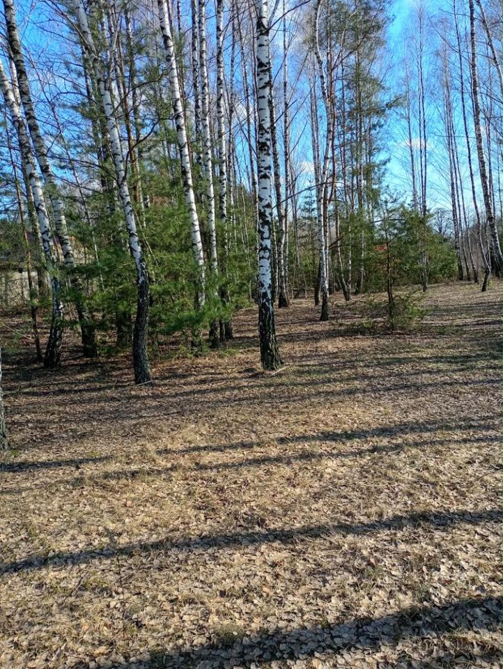 Działka rolno-budowlana Święte Nowaki. Zdjęcie 5