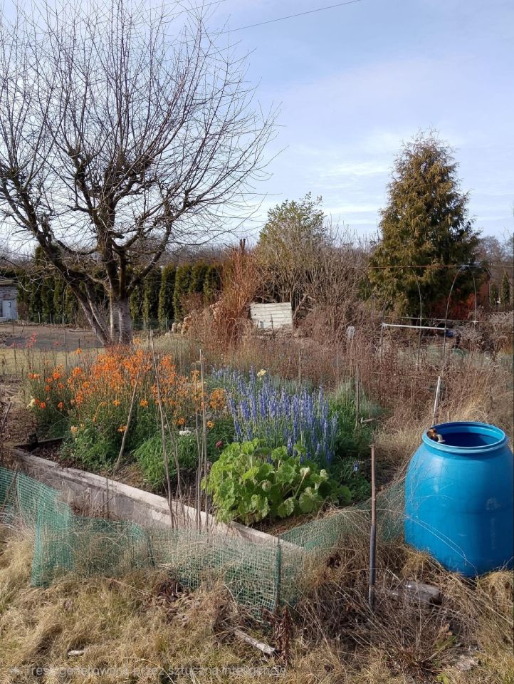 Działka rod Sieraków, ul. Wroniecka. Zdjęcie 4