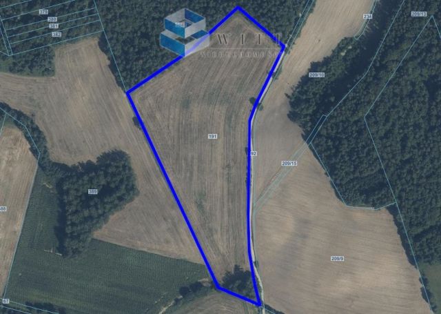 Działka rolna Rudno. Zdjęcie 9