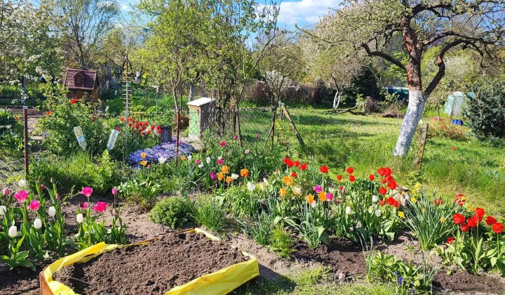 Działka rod Gorzów Wielkopolski