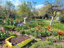 Działka rod Gorzów Wielkopolski