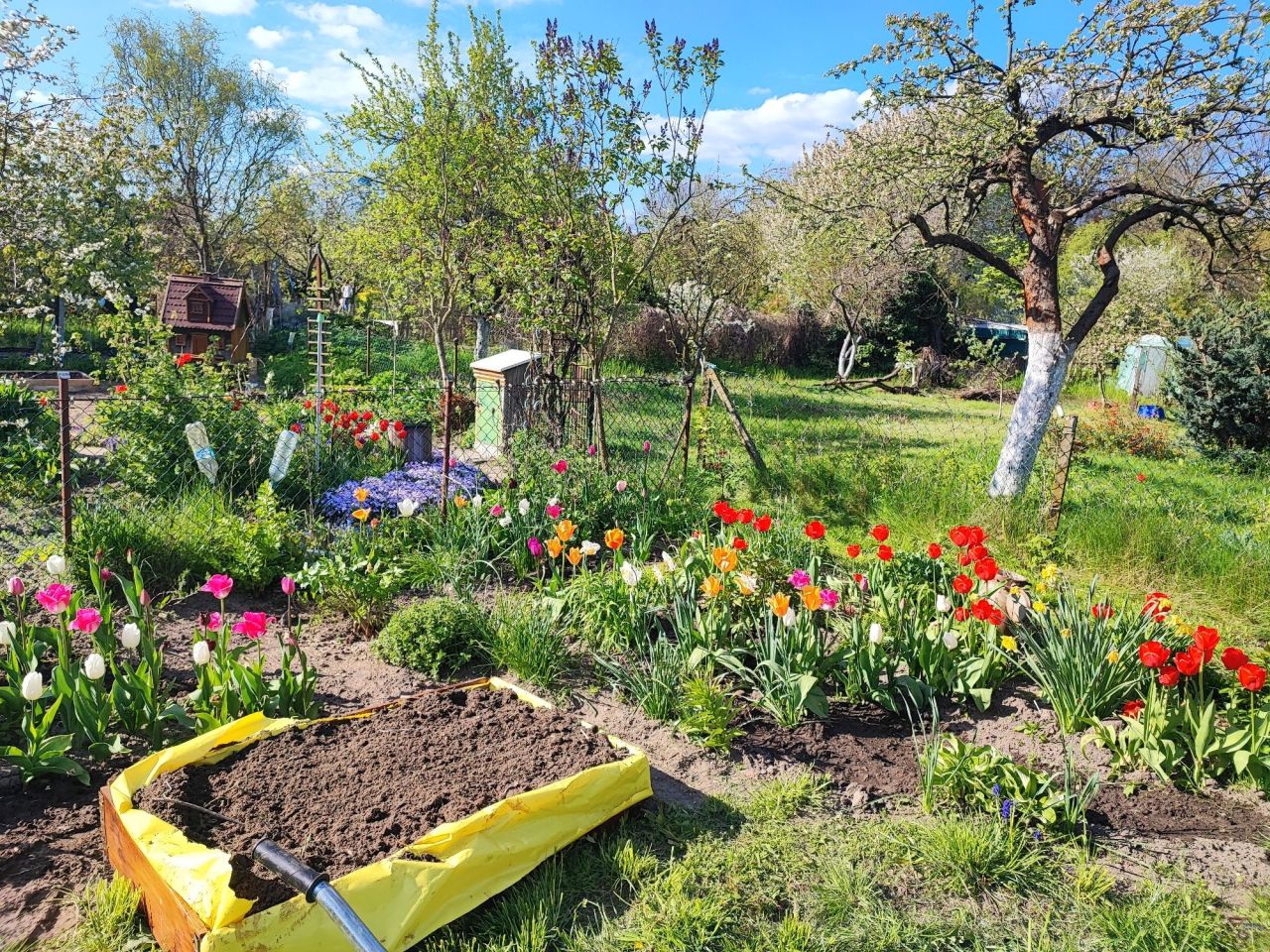 Działka rod Gorzów Wielkopolski