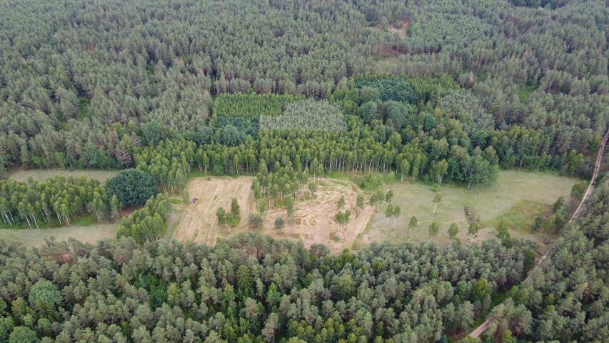 Działka rolna Dzierniakowo. Zdjęcie 5