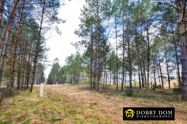 Działka budowlana Płaska. Zdjęcie 3