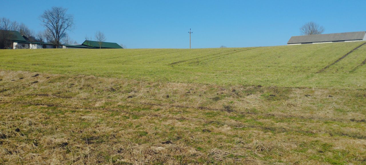 dom wolnostojący, 3 pokoje Czernięcin Poduchowny, Czernięcin Poduchowny. Zdjęcie 27