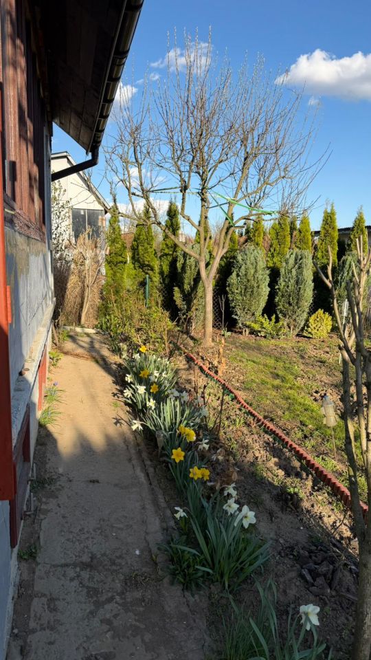 Działka rod Kraków Wzgórza Krzesławickie, Kocmyrzowska 38. Zdjęcie 15