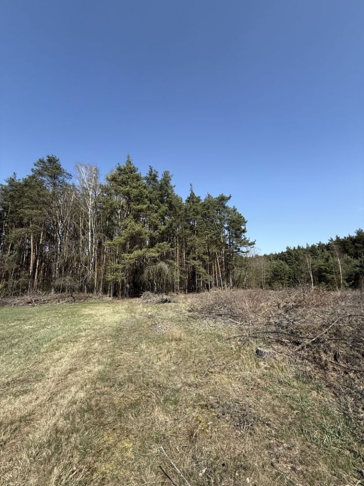 Działka budowlana Adamów-Wieś. Zdjęcie 4