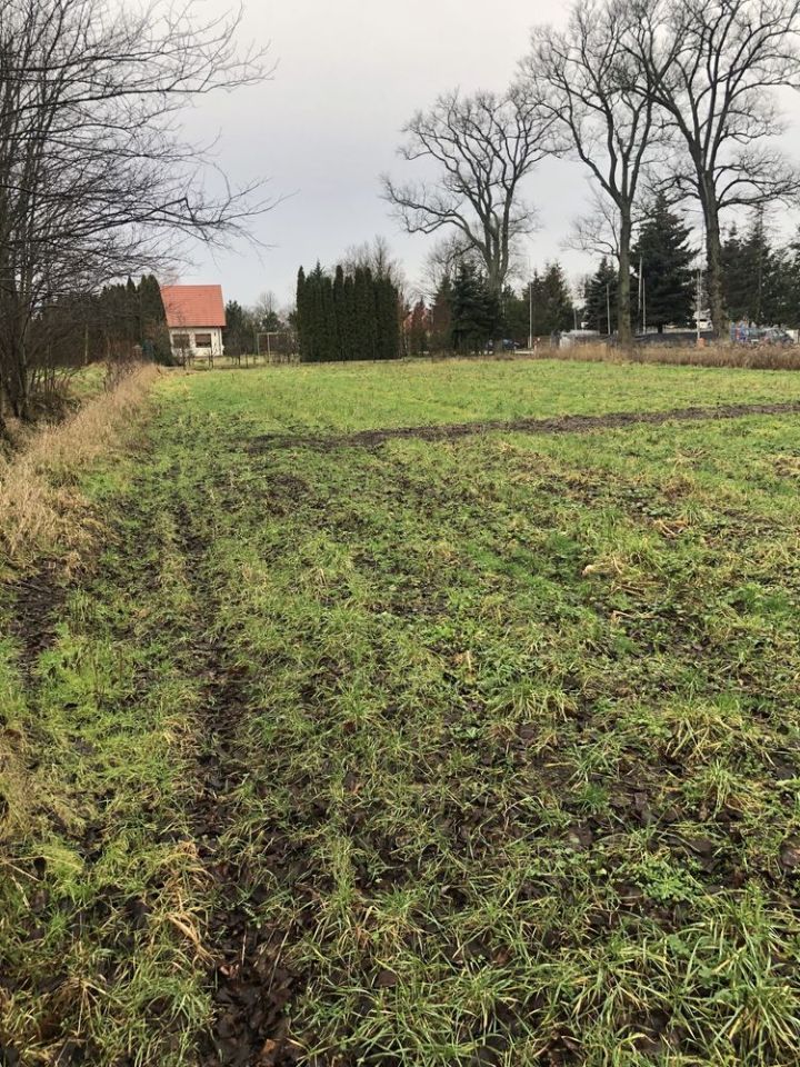 Działka budowlana Rogoźno, ul. Boguniewska. Zdjęcie 6