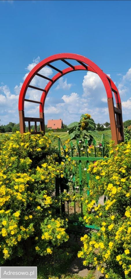 dom wolnostojący, 3 pokoje Ocypel. Zdjęcie 15