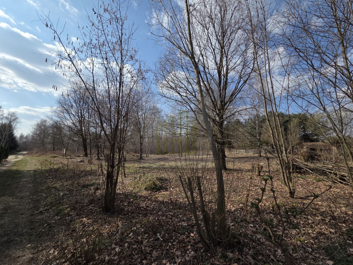 Działka budowlana Międzyborów. Zdjęcie 6