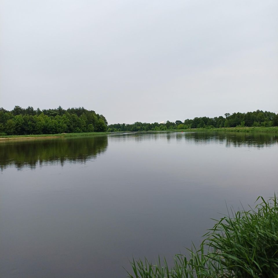 Działka rekreacyjna Ostrykół Dworski, ul. Letniskowa. Zdjęcie 4