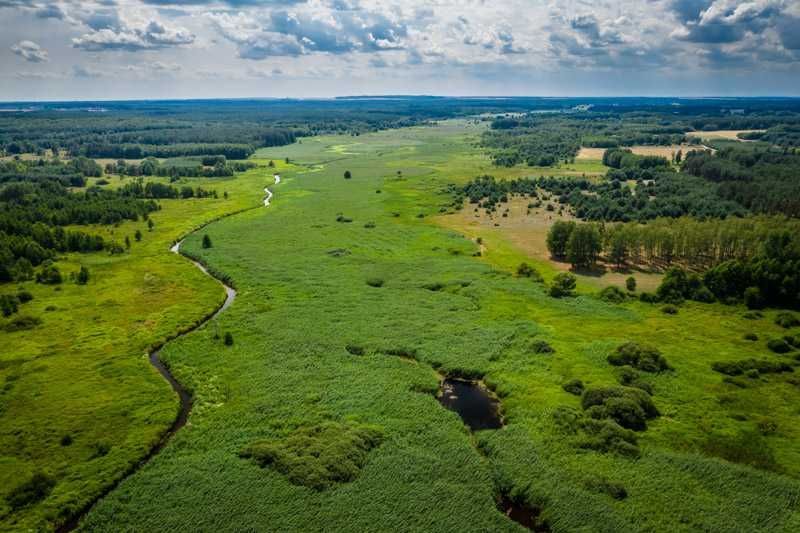 bliźniak Kliszów. Zdjęcie 4