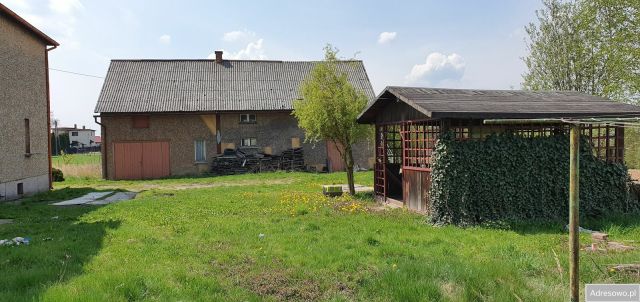 Działka rolna Gogołowa, ul. Leśna. Zdjęcie 1