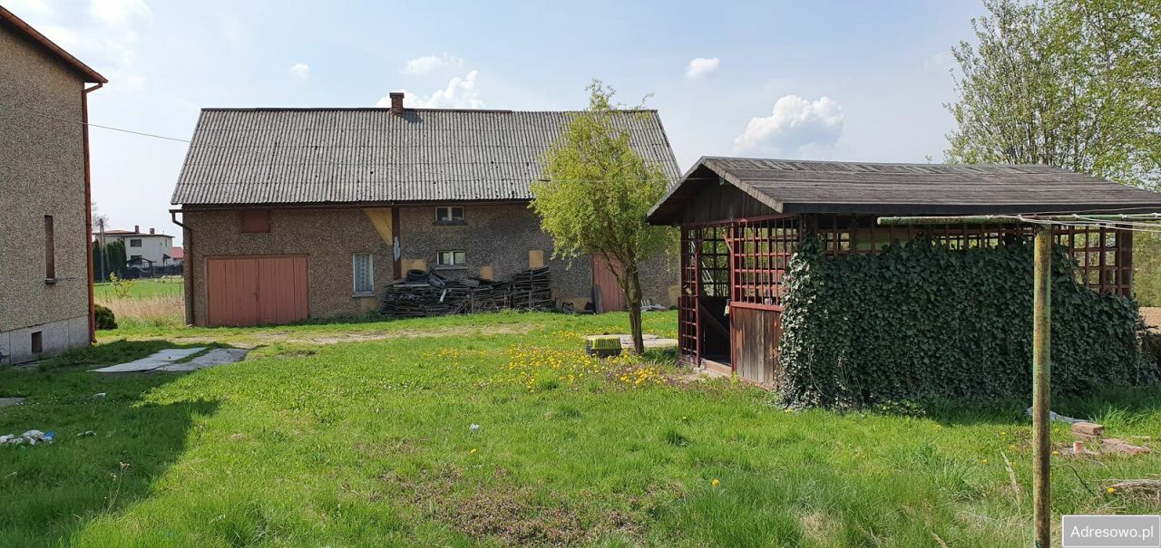 Działka rolna Gogołowa, ul. Leśna