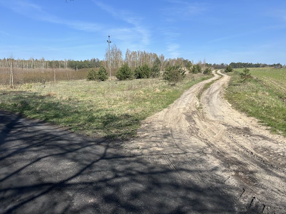 Działka budowlana Płyćwia. Zdjęcie 8