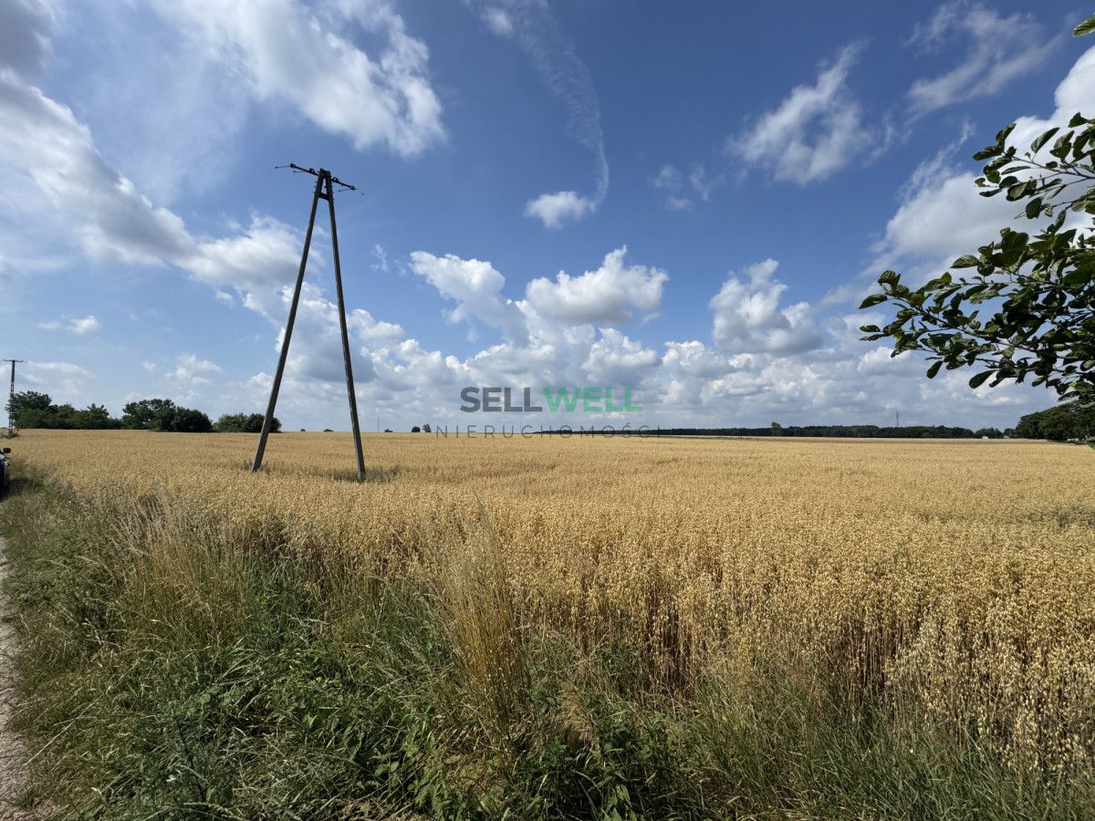 Działka inwestycyjna Złotniki. Zdjęcie 2