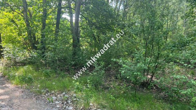Działka budowlana Radonie. Zdjęcie 21