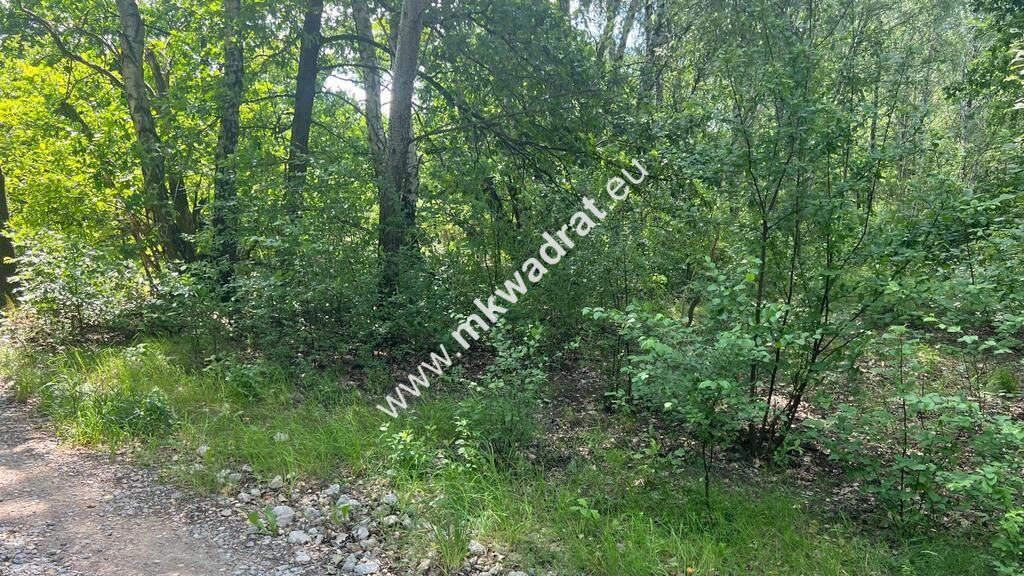 Działka budowlana Radonie. Zdjęcie 21