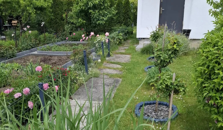 Działka rod Będzin, ul. Grabowa