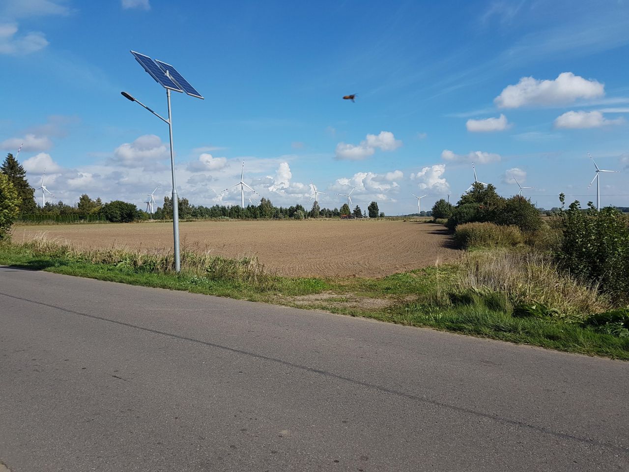 Działka rolno-budowlana Porzecze. Zdjęcie 4