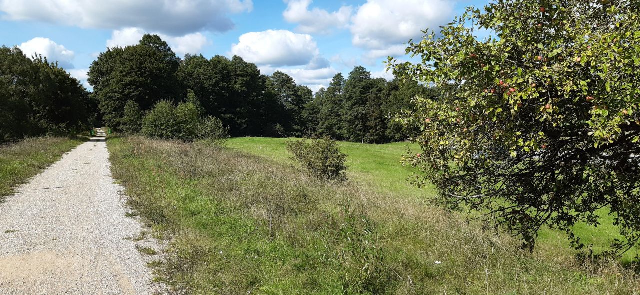 Działka rekreacyjna Boćwinka. Zdjęcie 9