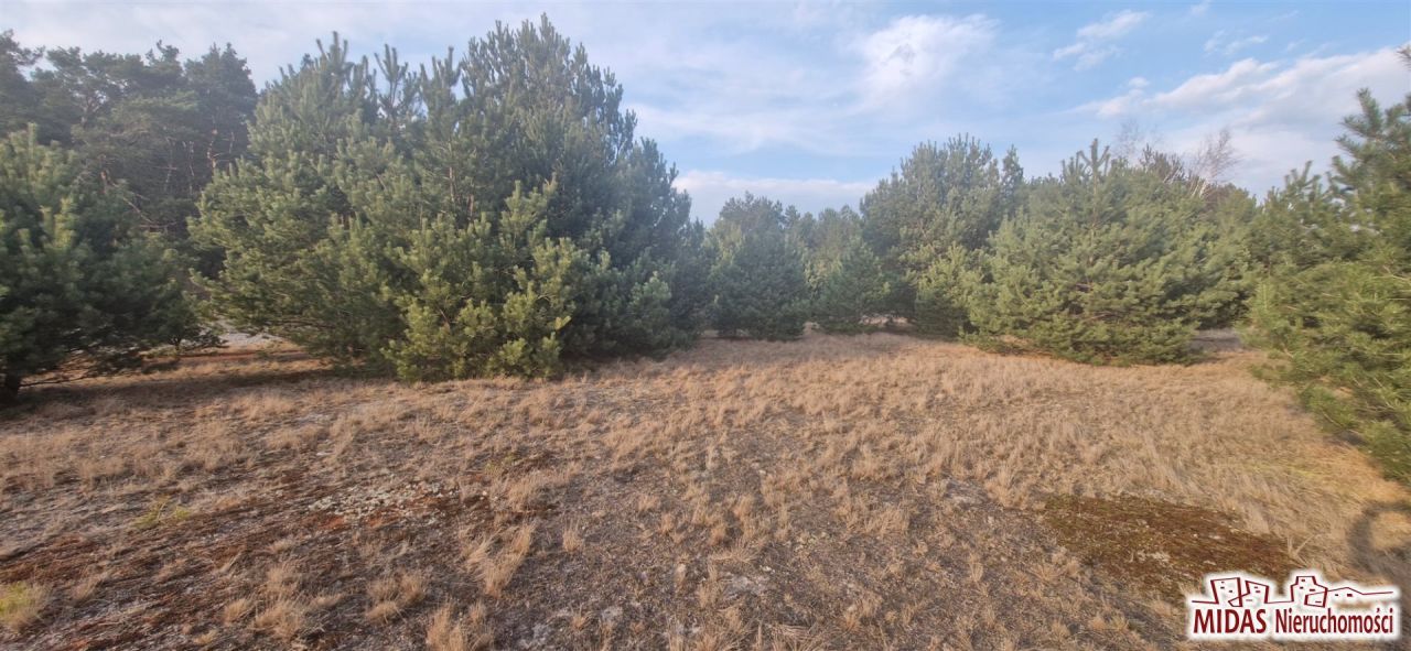 Działka budowlana Kowal. Zdjęcie 3