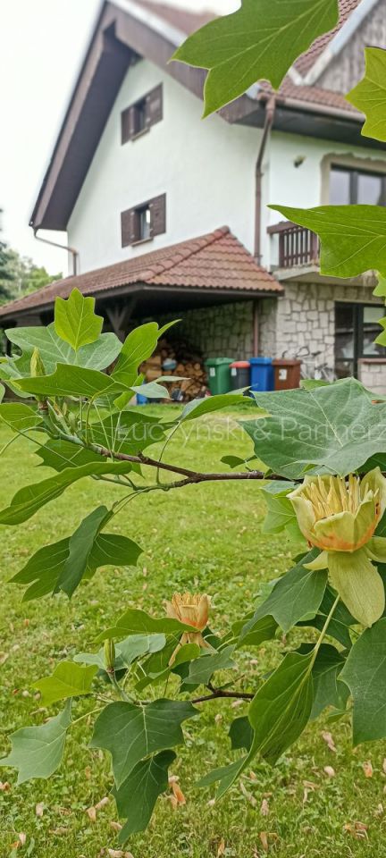 dom wolnostojący, 7 pokoi Podgórzyn. Zdjęcie 4