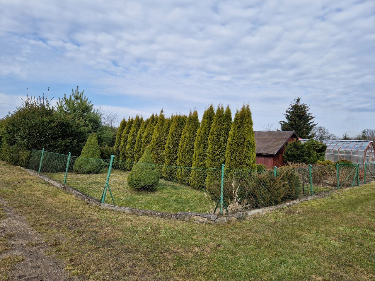 Działka rod Węgorzewo, ul. Braci Ejsmontów