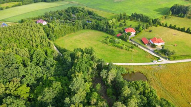 Działka rolno-budowlana Rychnowy. Zdjęcie 2