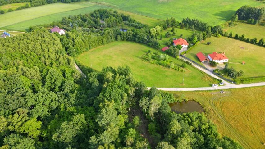 Działka rolno-budowlana Rychnowy. Zdjęcie 2