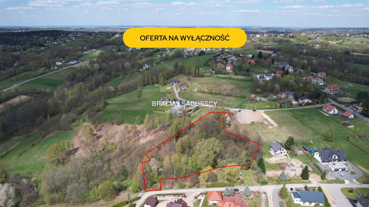 Działka leśna Byszyce. Zdjęcie 1